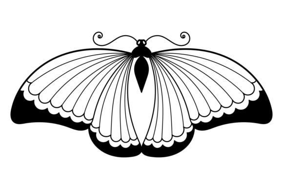 Butterfly Ink Drawing. Decorative Elegan Graphics