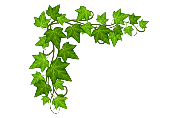 Ivy Corner: A Versatile Green Leaves Frame for Graphic Design and Illustration