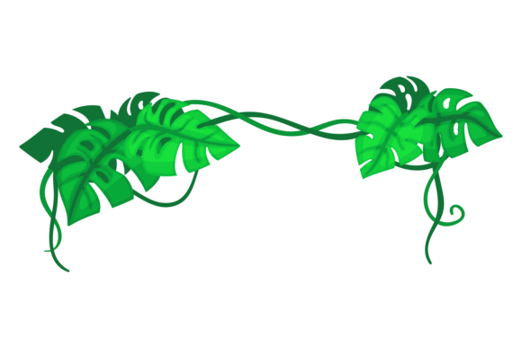 Monstera Leaves Decorative Border: A Modern Graphic for Editorial and Web Design