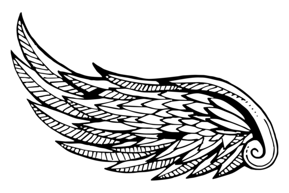 Wing Sketch. Decorative Ornate Bird Feat for Graphics and Illustrations